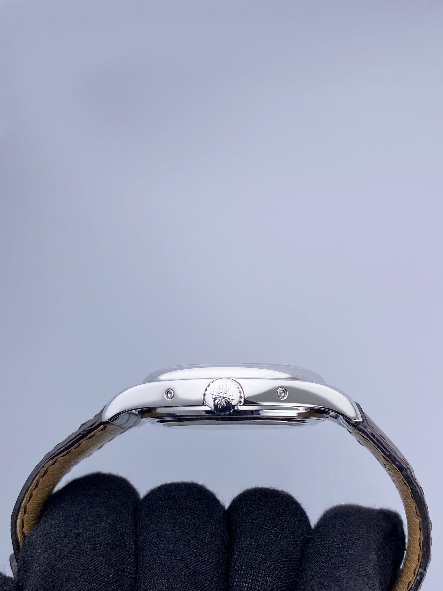 PP5146GGRAIS-2_5.jpg