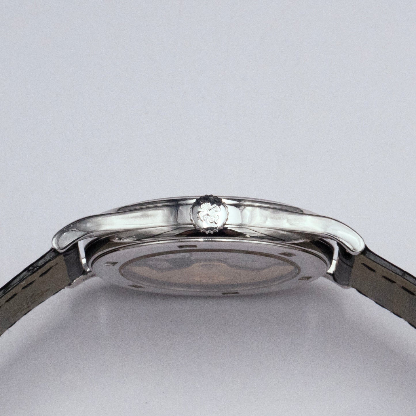PP5296GSVIS-2_5.jpg