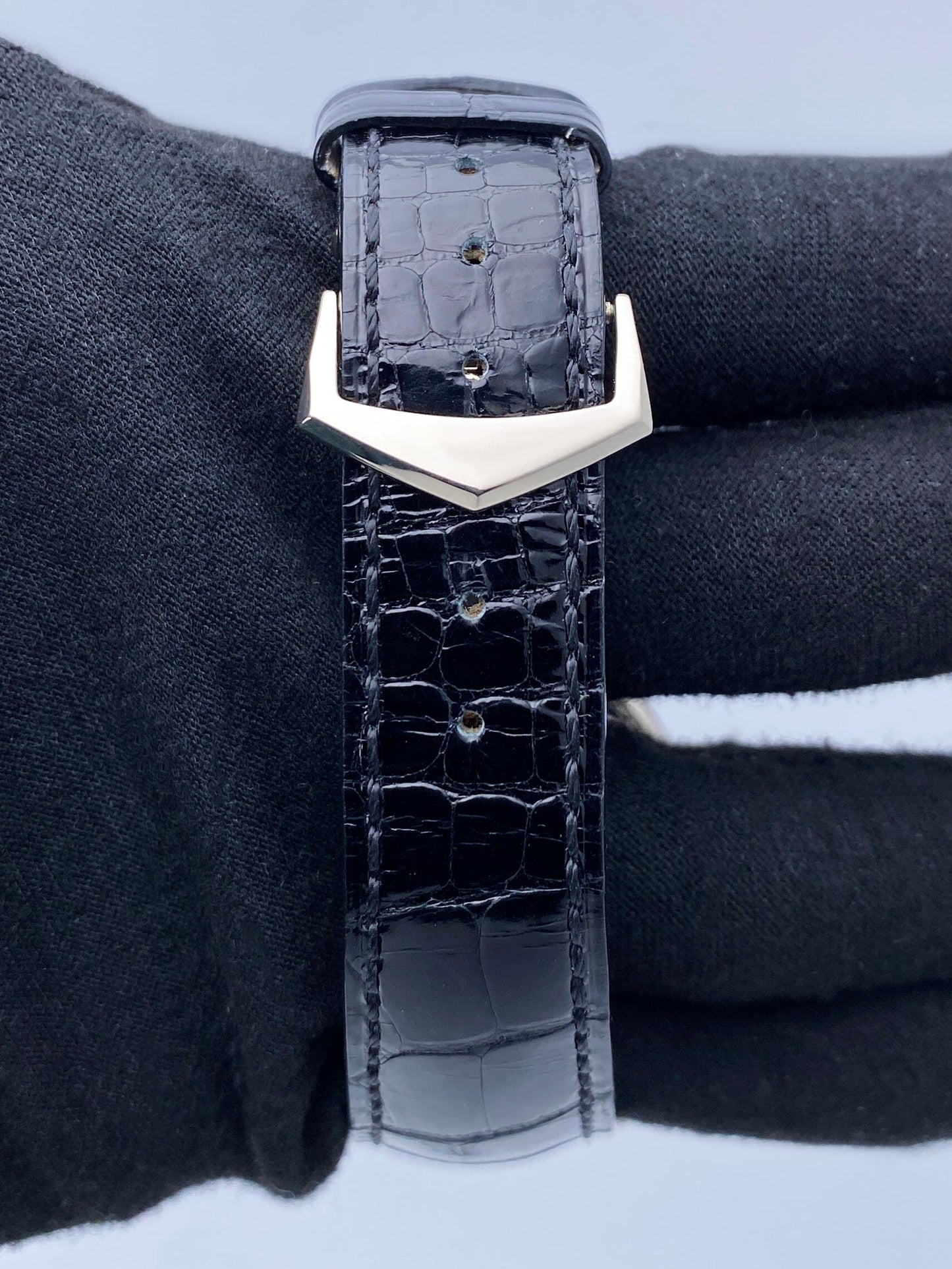 PP5396GSVIS-2_7.jpg