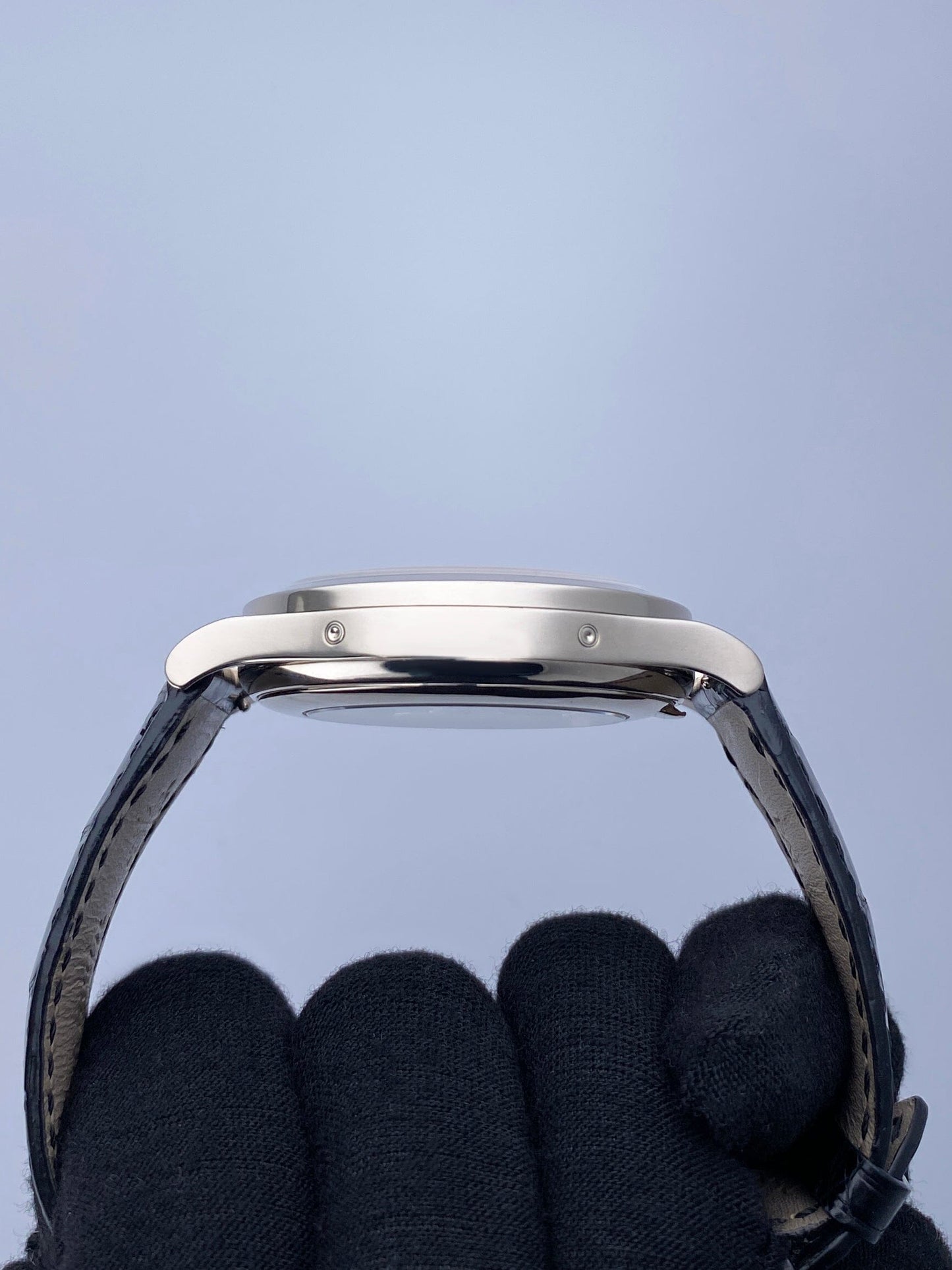 PP5396GSVIS-2_5.jpg