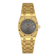 AP66270BAGRIB-1_1.png