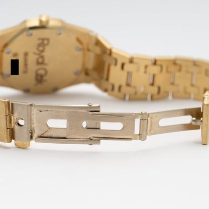 AP66270BAGRIB-1-4 copy.jpg