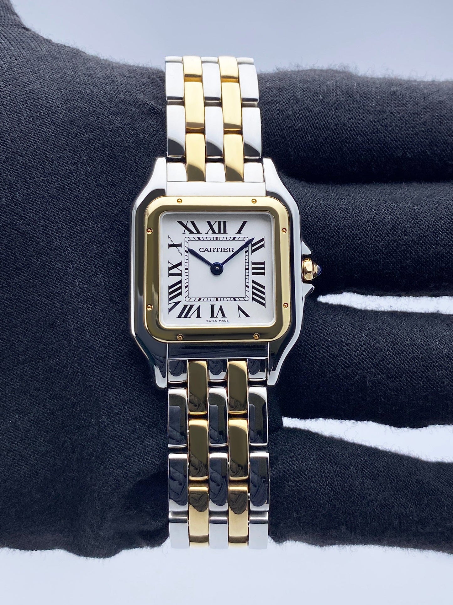CW2PN0007SVRB-1_2.jpg