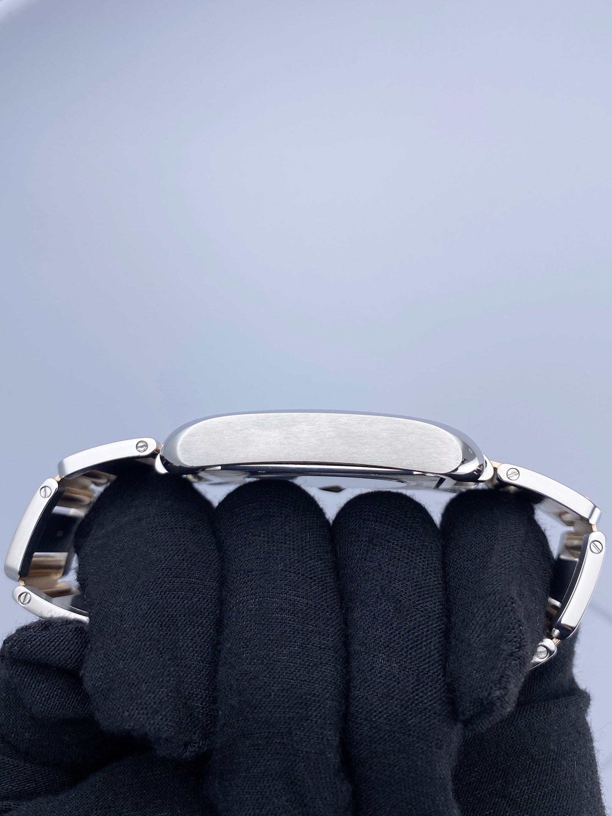 CW5310006SVRB-1_5.jpg