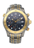 Omega Seamaster 2296.80.00 Titanium/Rose Gold Watch - Virtual