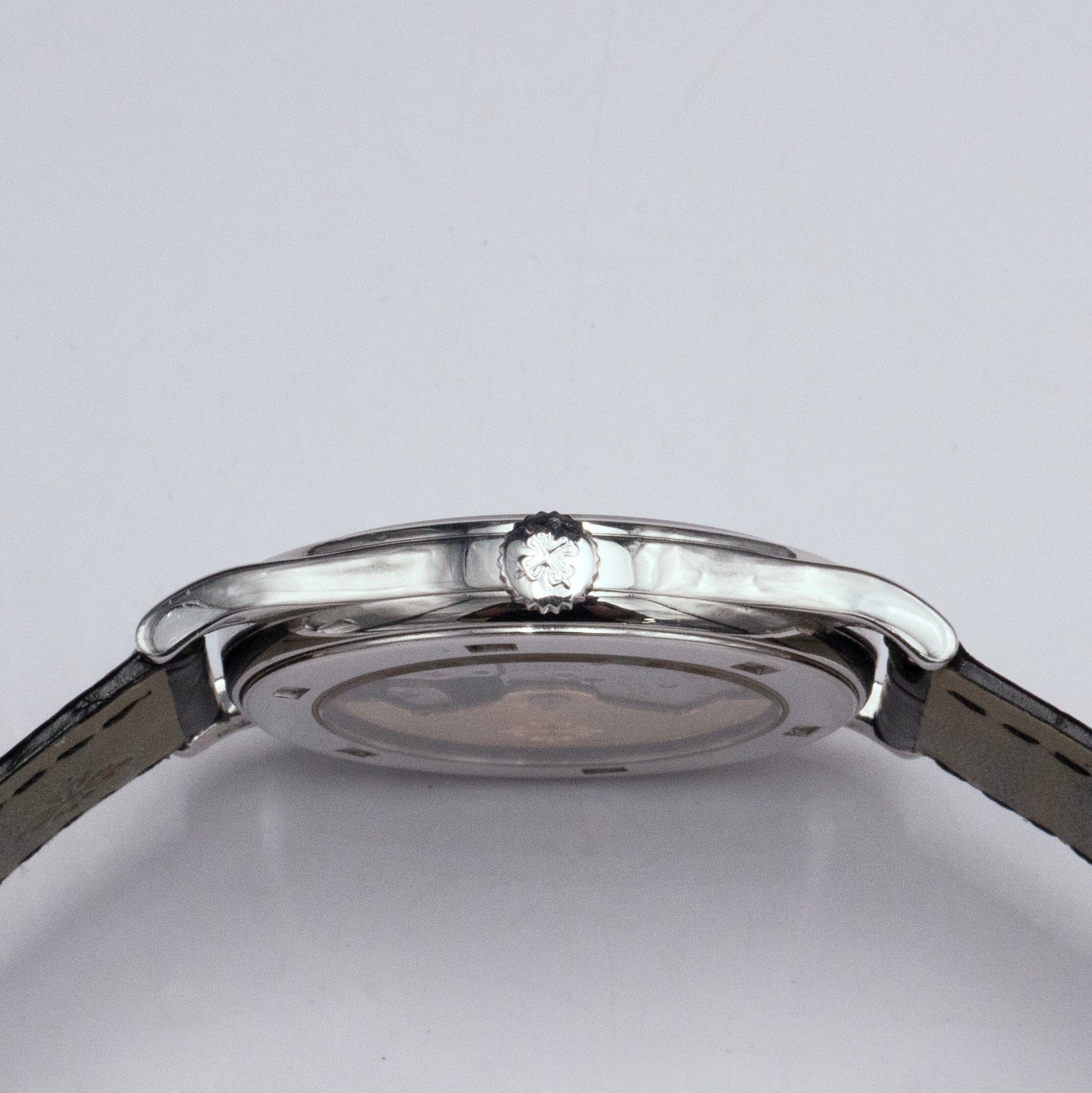 PP5296GSVIS-2_5.jpg