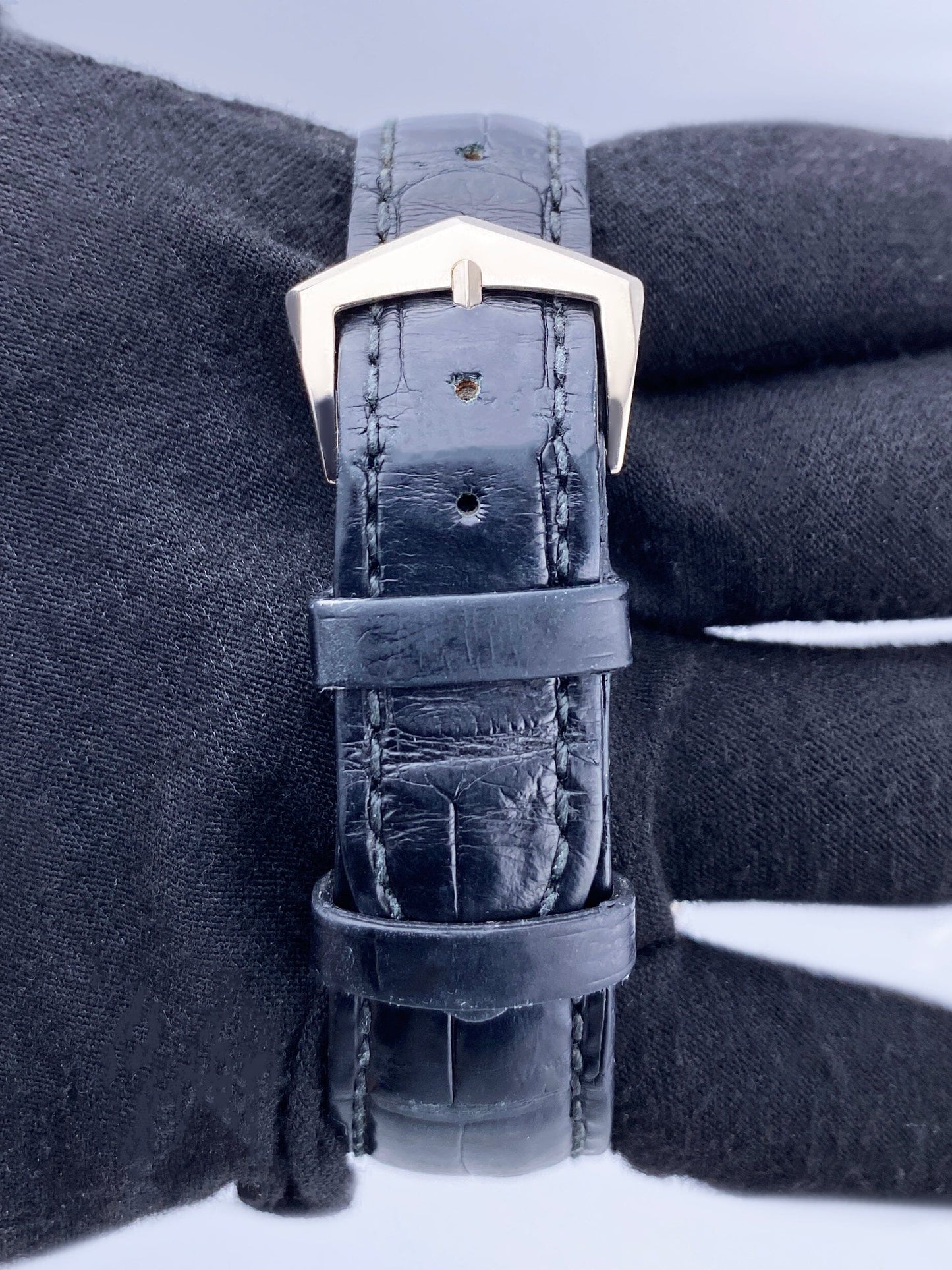 PP5296GSVIS-1_8.jpg