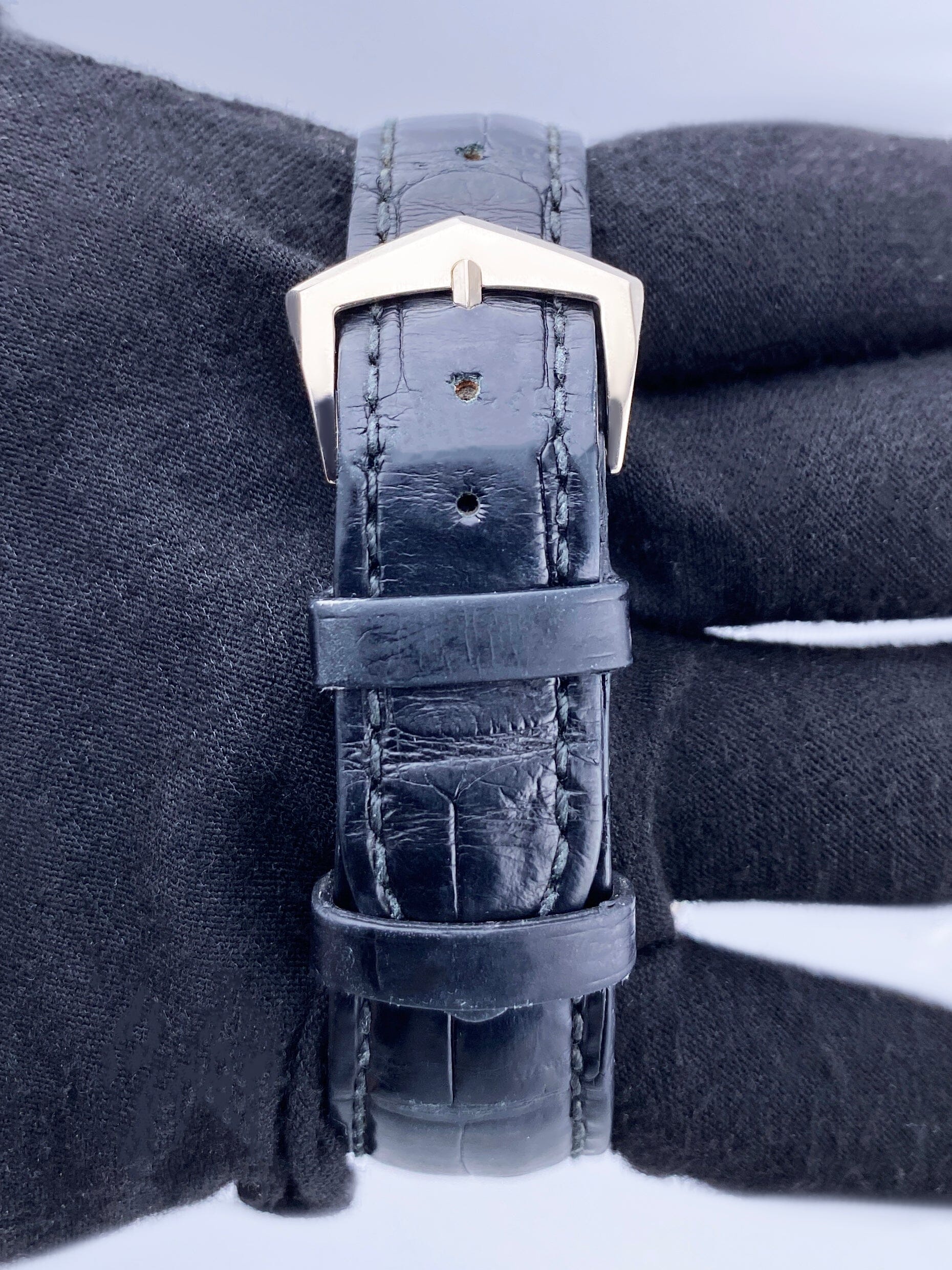PP5296GSVIS-1_8.jpg