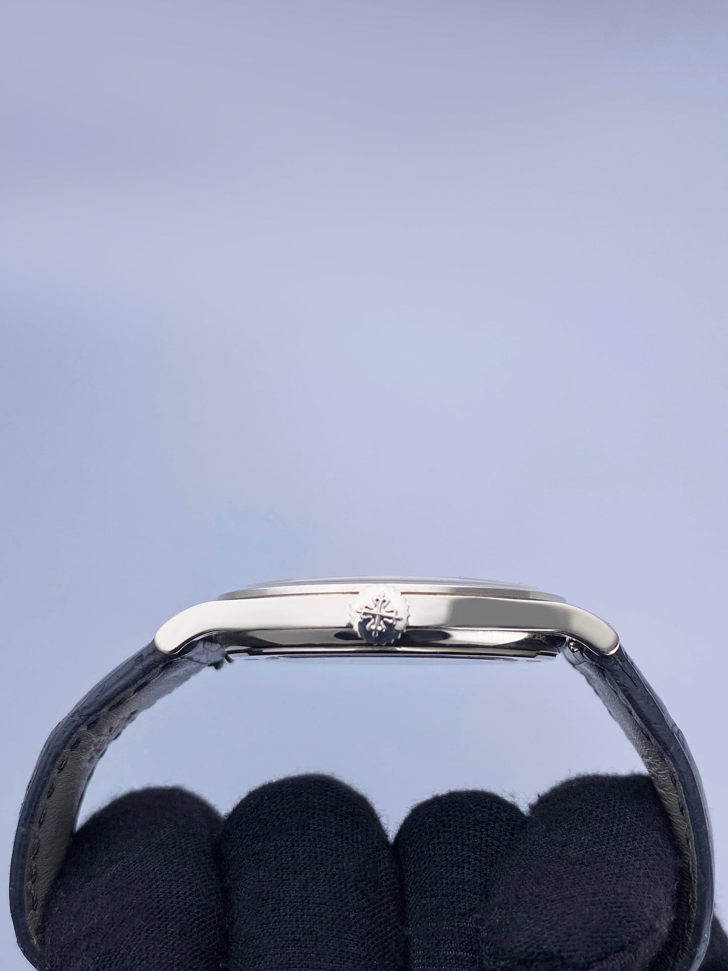 PP5296GSVIS-1_5.jpg