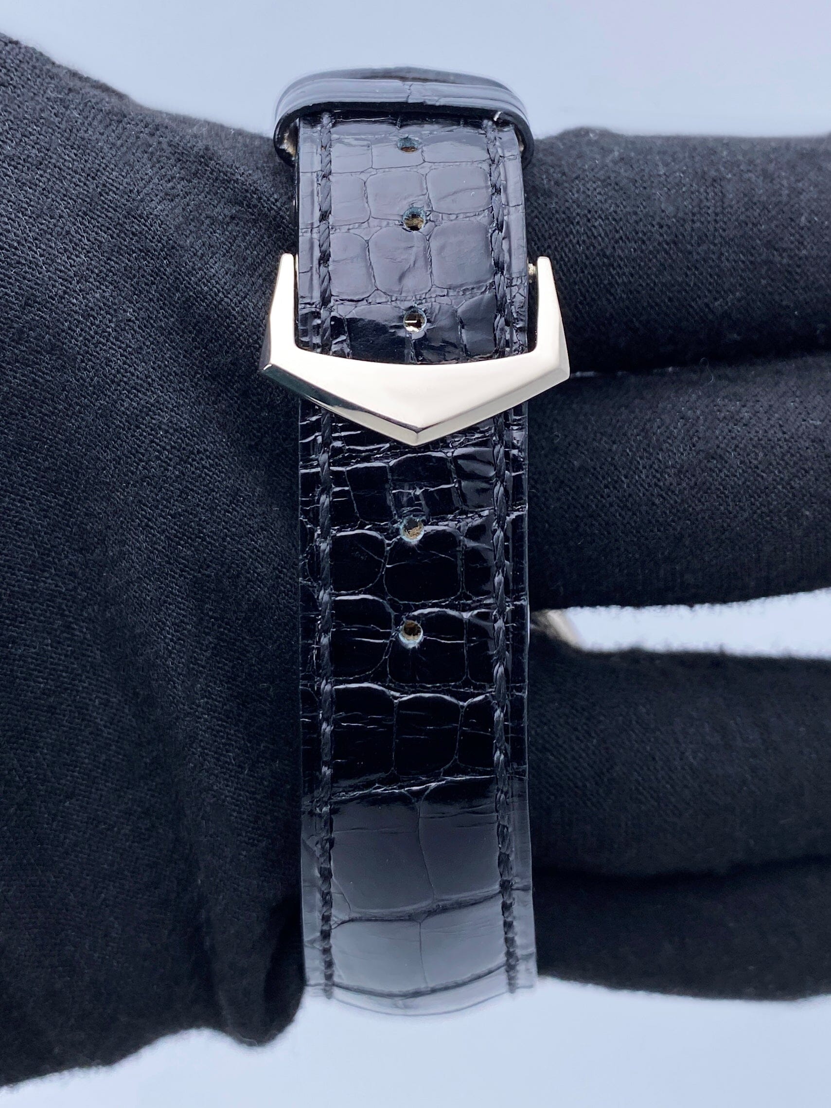 PP5396GSVIS-2_7.jpg