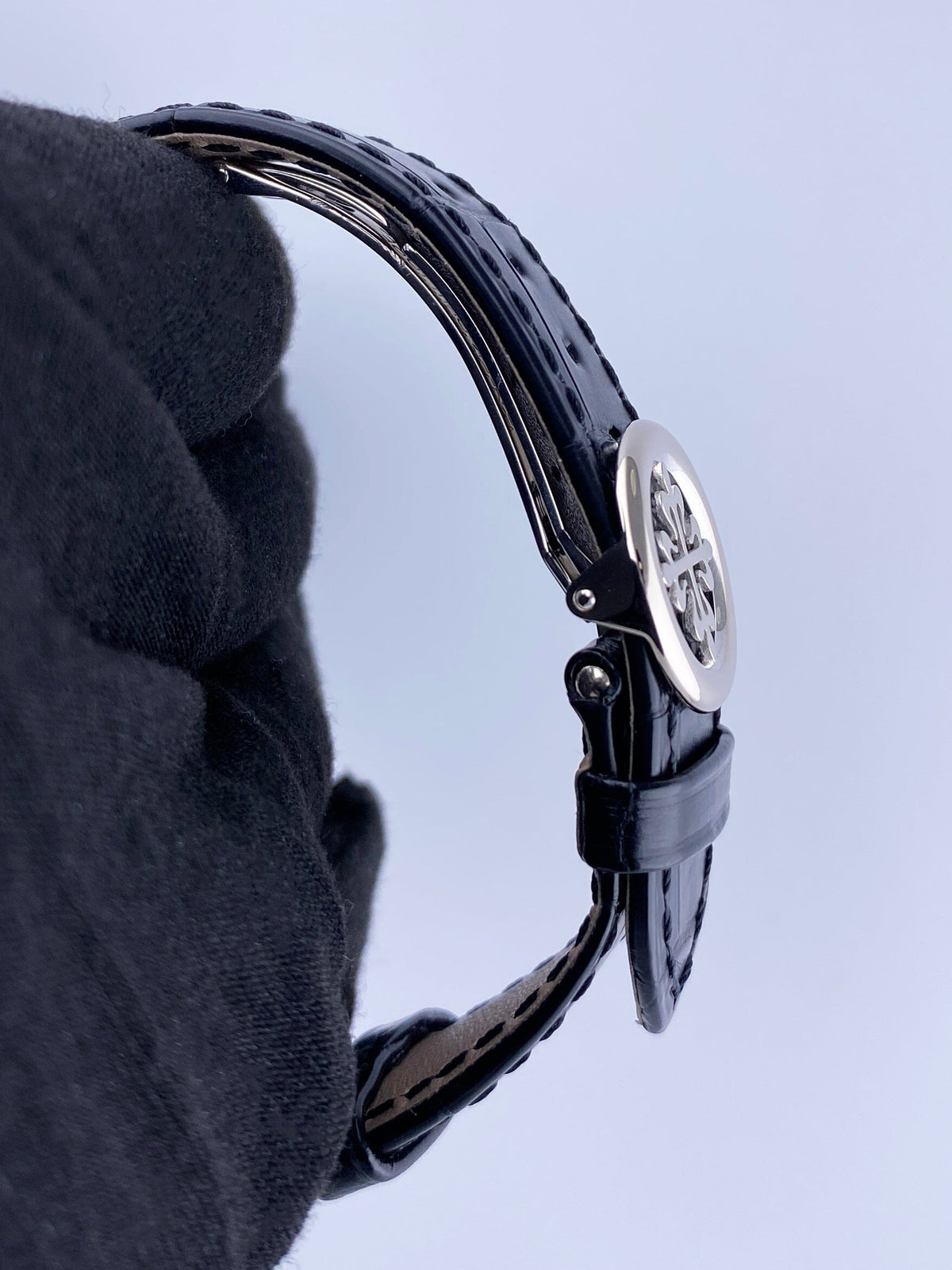 PP5230GSVIS-2_6.jpg
