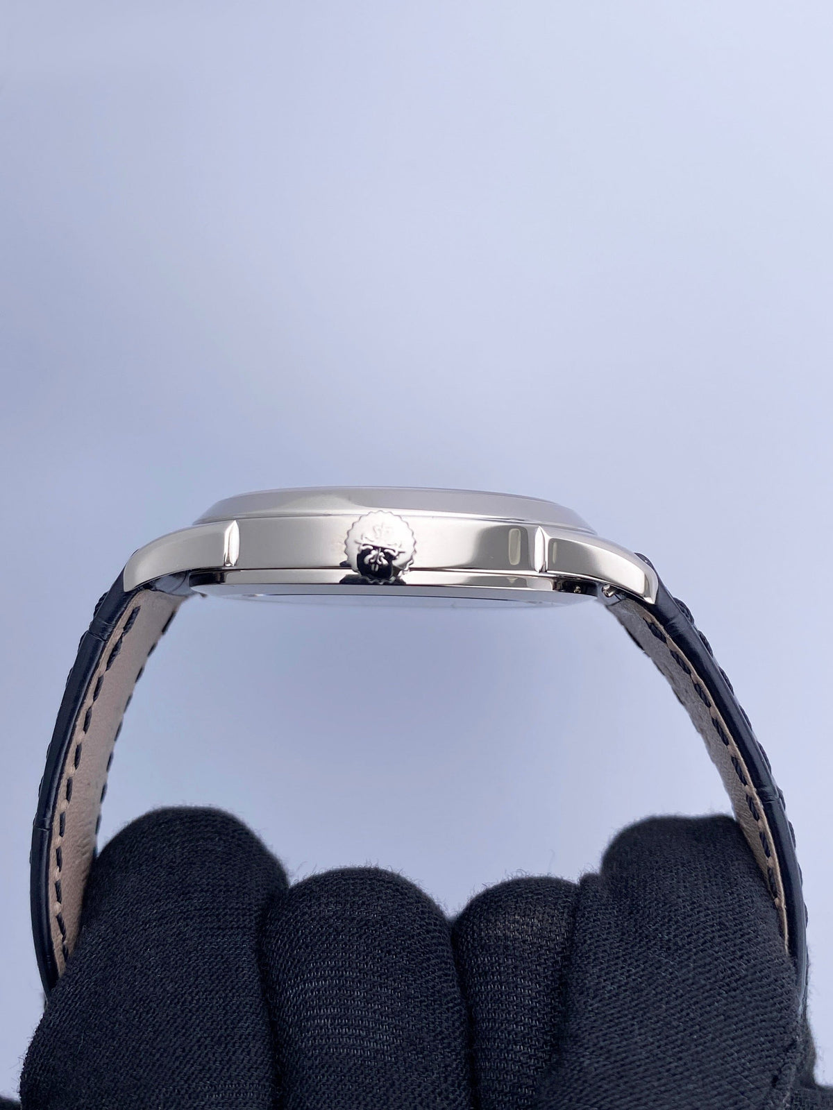 PP5230GSVIS-2_4.jpg