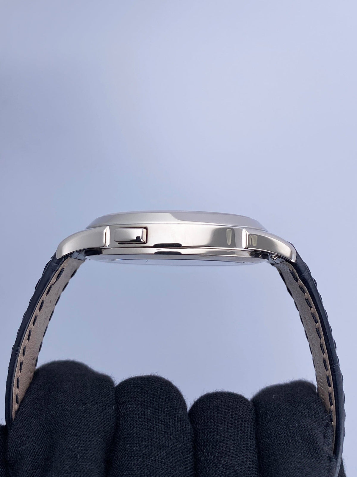 PP5230GSVIS-2_5.jpg