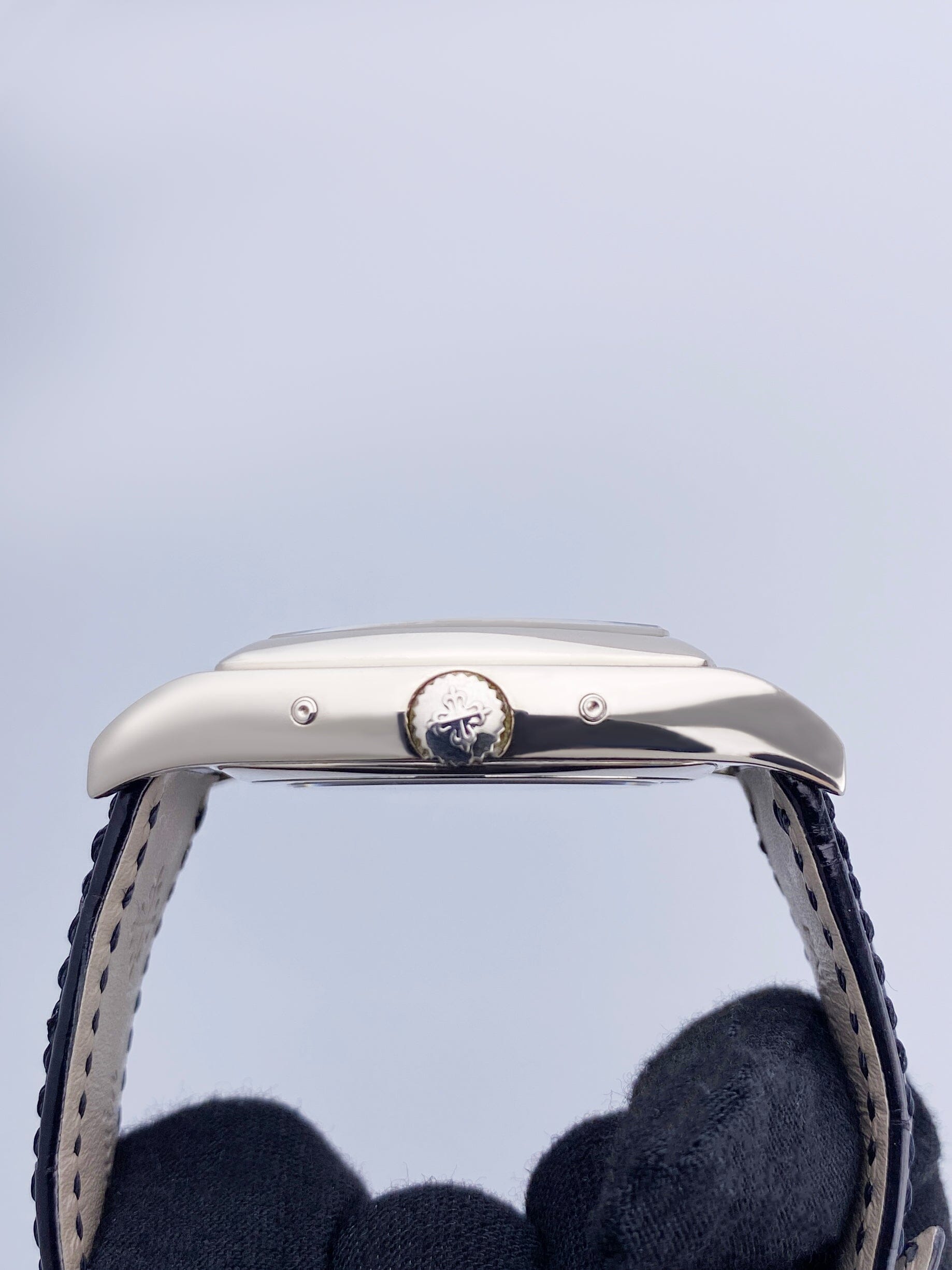 PP5135GSVAIS-2_4.jpg