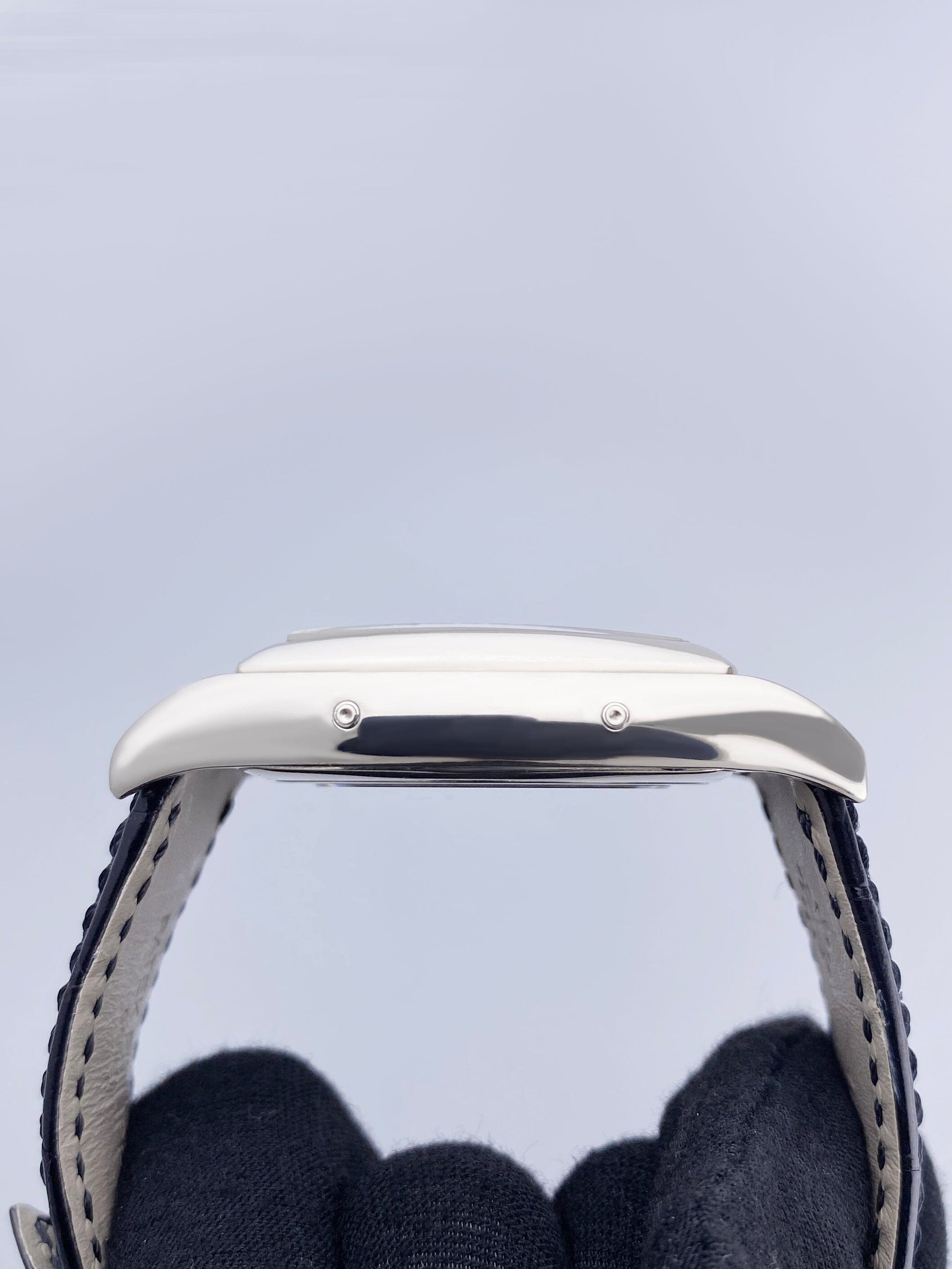 PP5135GSVAIS-2_5.jpg