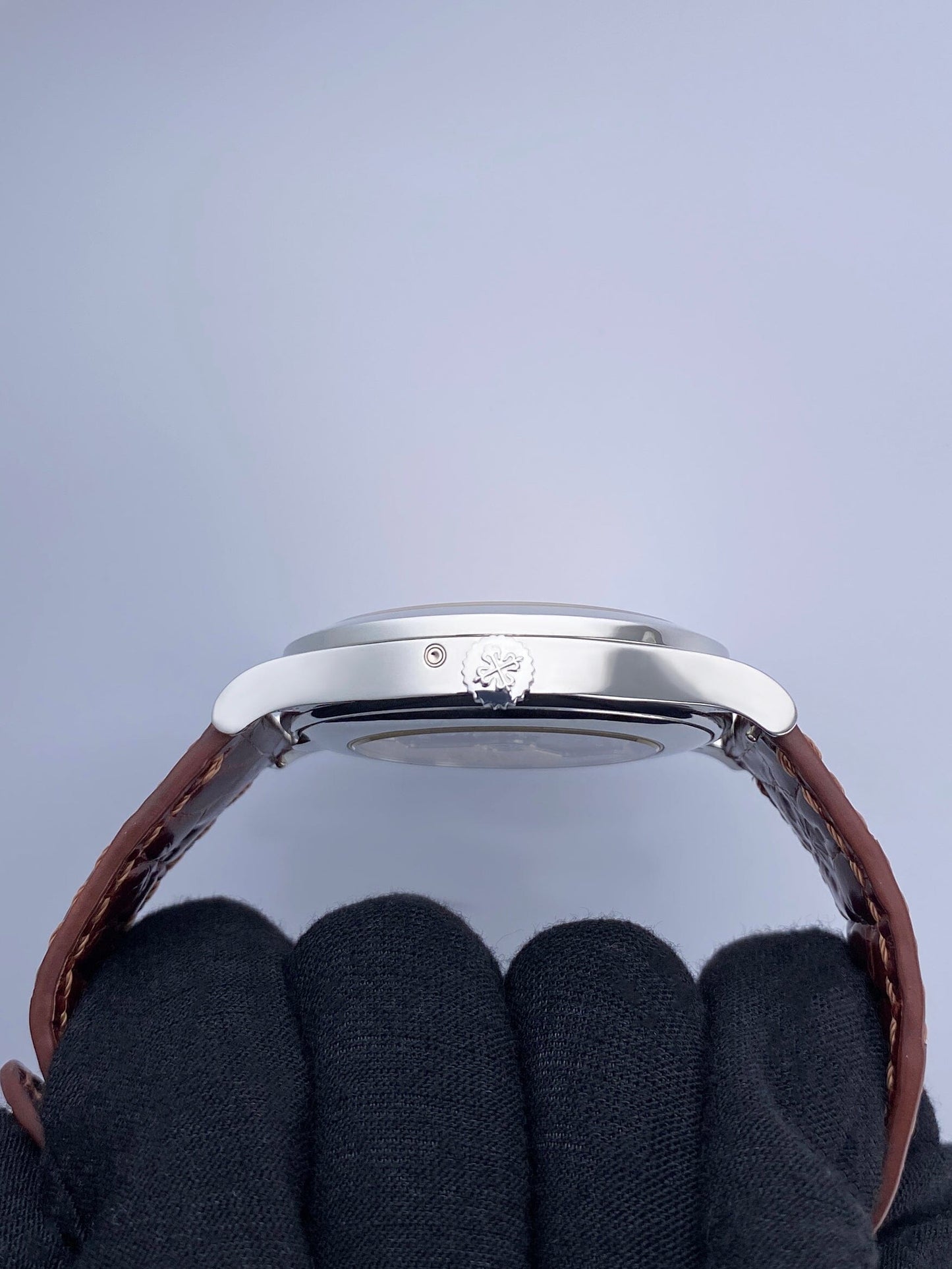 PP5496PBRIS-1_4.jpg