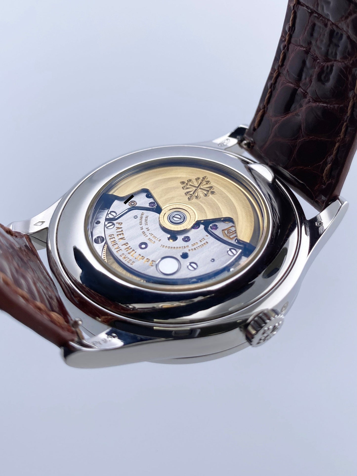 PP5496PBRIS-1_8.jpg