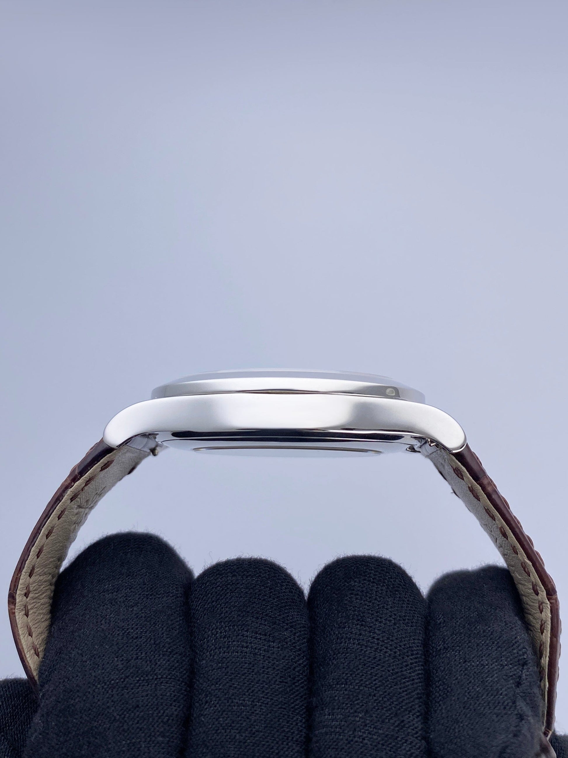 PP5496015PSVIS-1_5.jpg