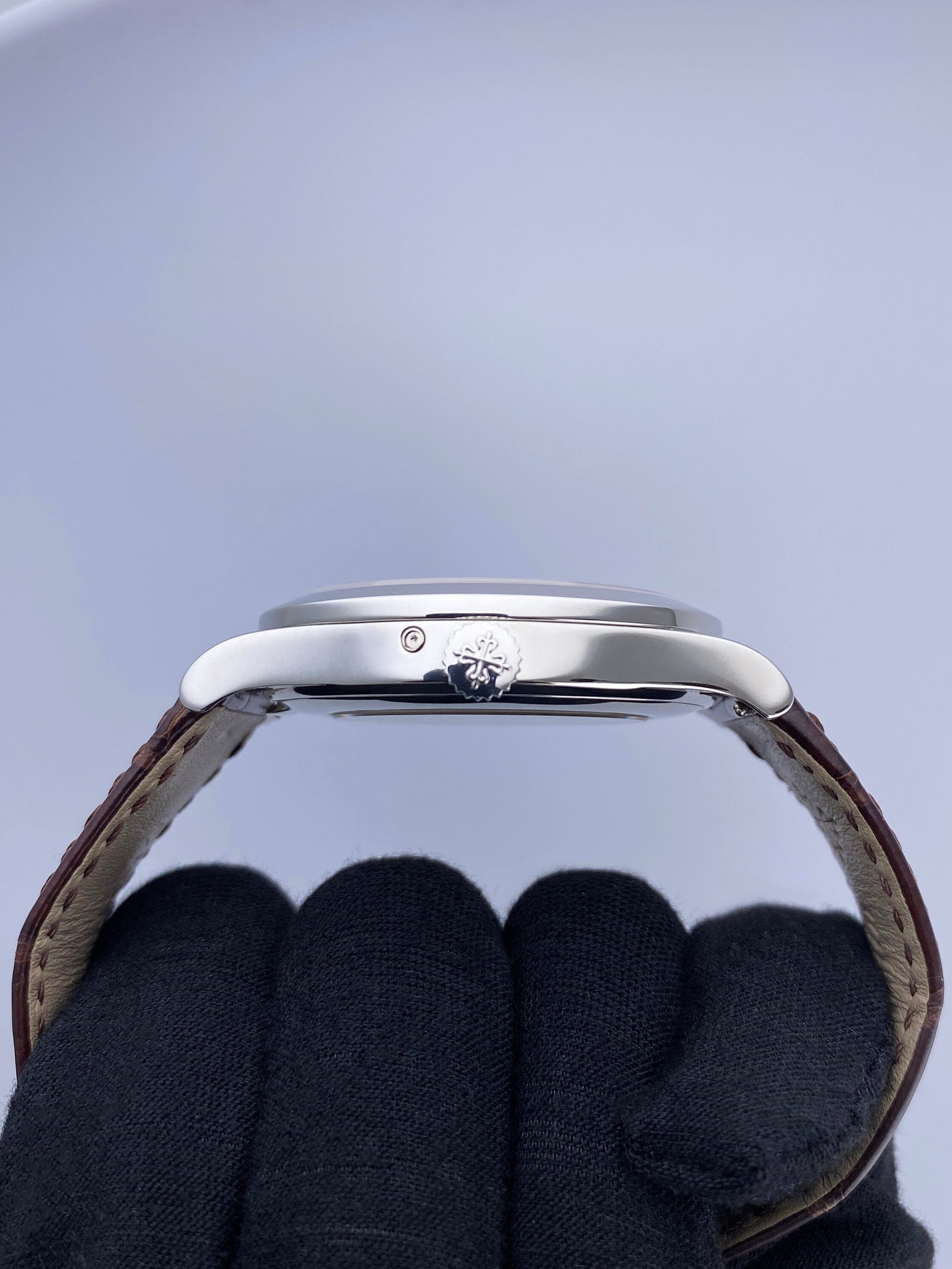 PP5496015PSVIS-1_4.jpg