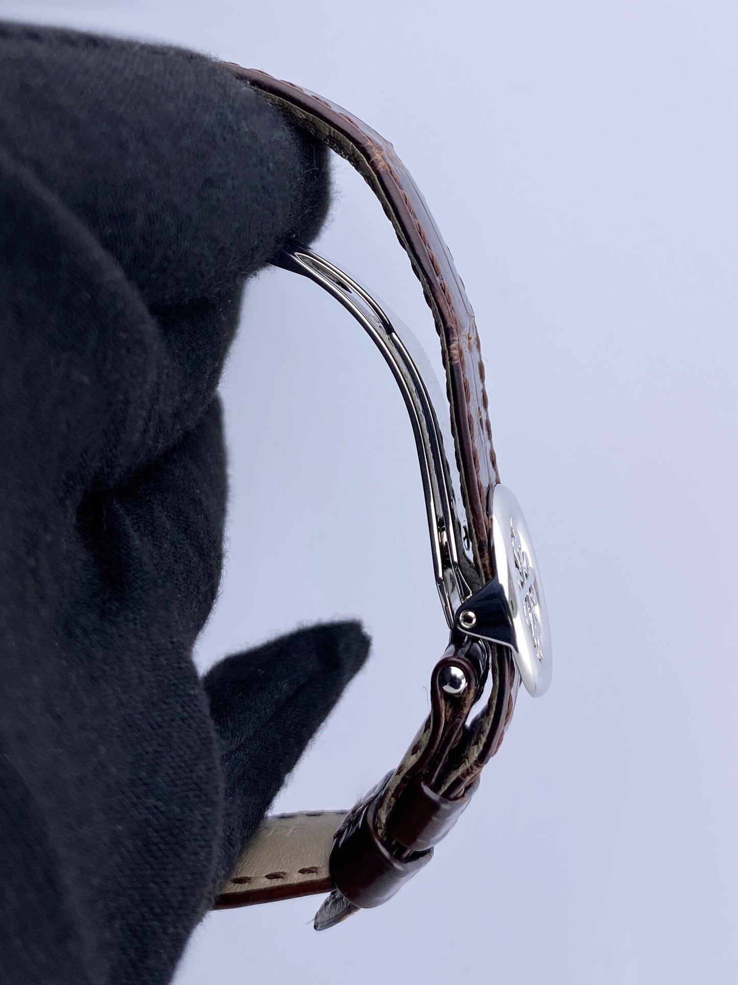PP5496015PSVIS-1_6.jpg