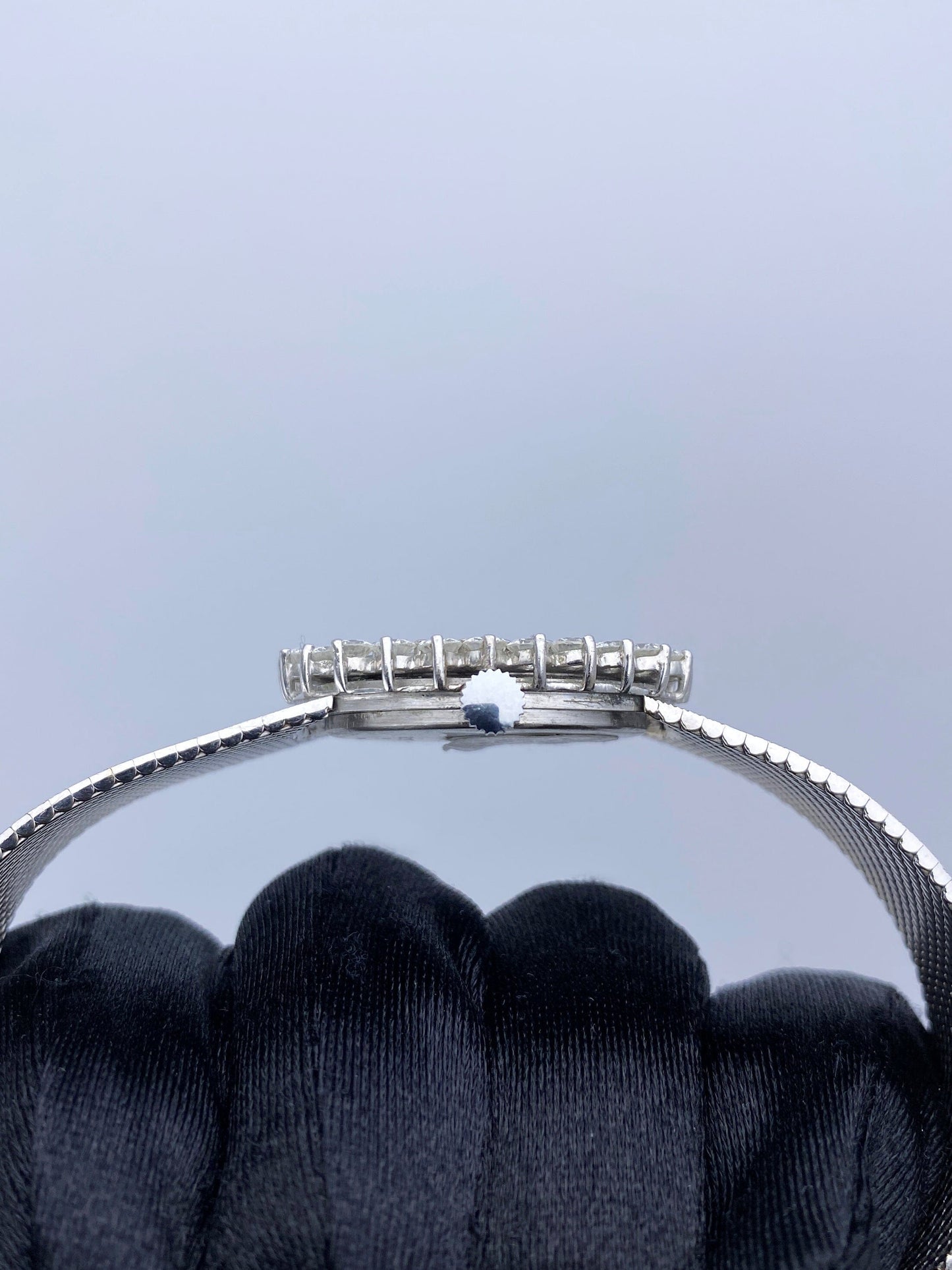 Delanear Opal Dial Diamond Bezel Ladies Watch