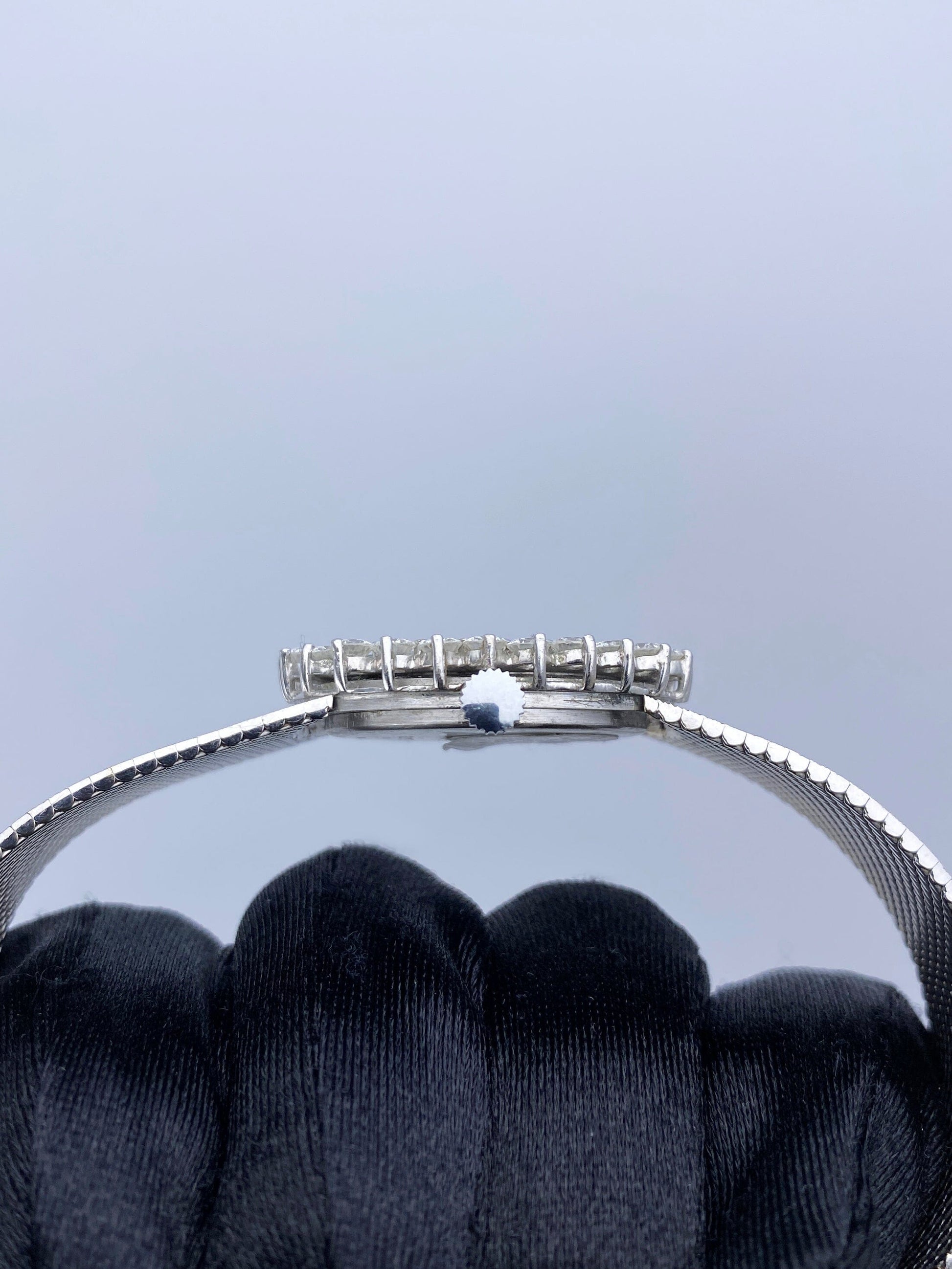 Delanear Opal Dial Diamond Bezel Ladies Watch