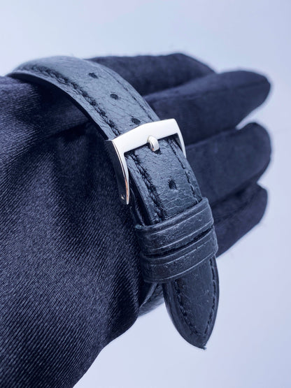 Patek Philippe Amagnetic 3417 Mens Watch With Archives