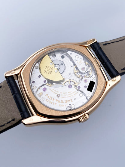 Patek Philippe Perpetual Calendar 5040R Mens Watch Box Papers - Watches