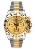 Rolex Daytona 116503 Champagne Dial Mens Watch Box & Papers - Wristwatch